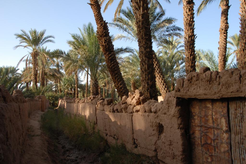 Villa Zagora Ma Villa Au Sahara المظهر الخارجي الصورة