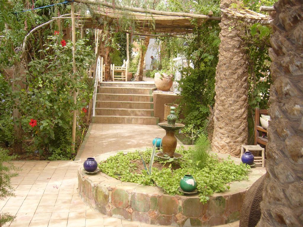 Villa Zagora Ma Villa Au Sahara المظهر الخارجي الصورة