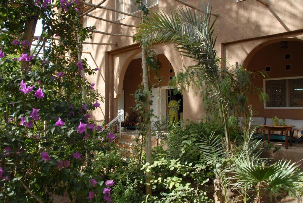 Villa Zagora Ma Villa Au Sahara المظهر الخارجي الصورة