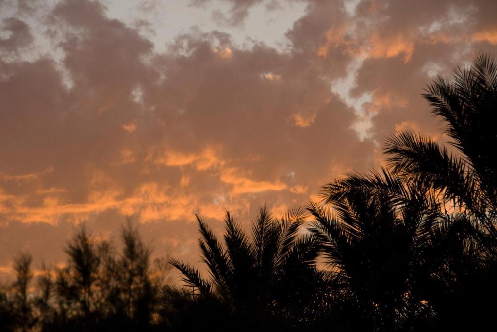 Villa Zagora Ma Villa Au Sahara المظهر الخارجي الصورة